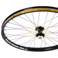 Bombshell Switch-It Wheelset Bombshell Switch-It Wheelset